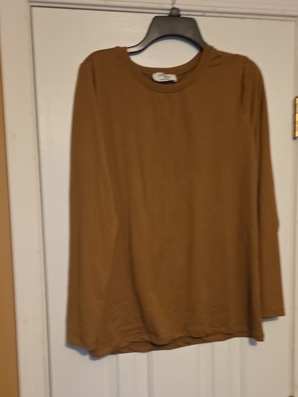 Zenana Outfitters Brown Long-Sleeve Crew Neck Top